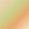  967 Rainbow/Fl. Orange/Black